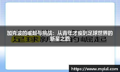 PA视讯平台